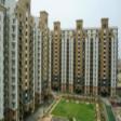 RESIDENTIAL APARTMENT IN WEMBLEY ESTATE  3 BHk  Rent Sector 50 Gurgaon